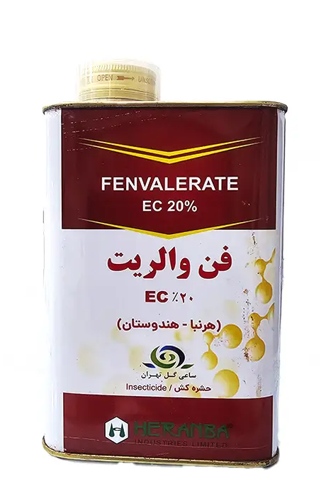 فن والریت هندی(1)ساعی